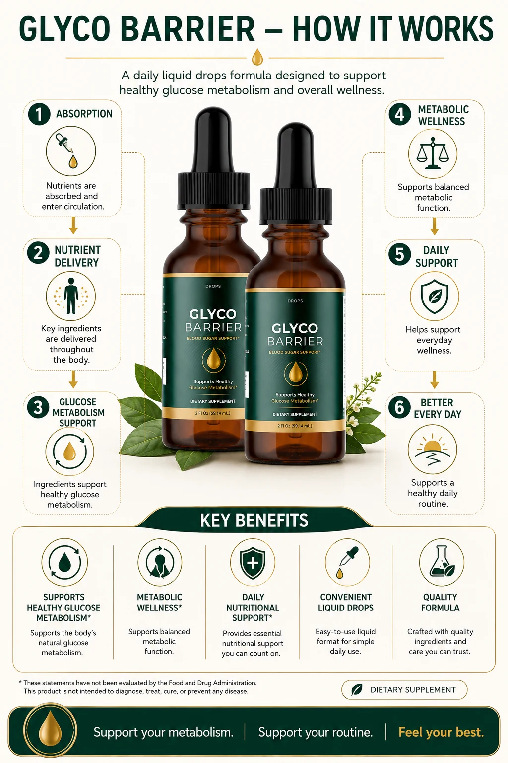 How Glyco Barrier works — absorption, nutrient delivery, glucose metabolism support, metabolic wellness, daily support and better every day